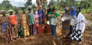 Souapiti : le CECIDE outille les femmes en préparation des fertilisants bio