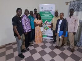 Processus de Kimberley : les membres du Comité National renforcent leurs connaissances sur le système de certification