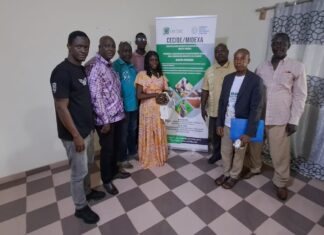 Processus de Kimberley : les membres du Comité National renforcent leurs connaissances sur le système de certification