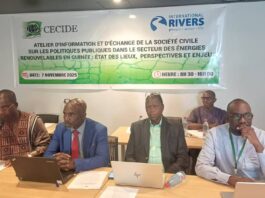 Atelier du CECIDE sur la transition énergétique en Guinée : voici le reportage de la RTG
