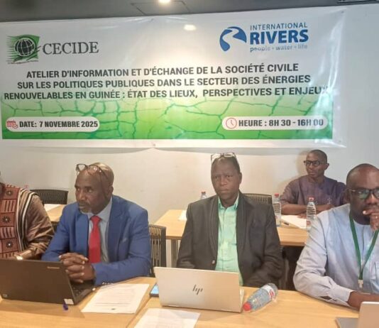Atelier du CECIDE sur la transition énergétique en Guinée : voici le reportage de la RTG