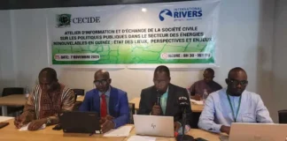 Transition énergétique en Guinée : le CECIDE mobilise les acteurs autour des énergies renouvelables