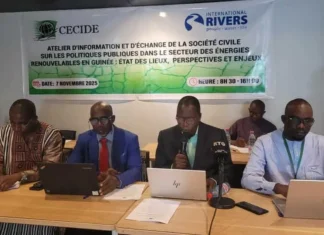 Transition énergétique en Guinée : le CECIDE mobilise les acteurs autour des énergies renouvelables