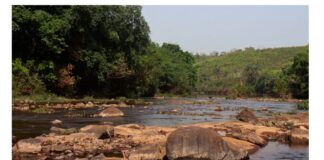 Nord Cogon : le rapport des ONG sur l’impact de l’exploitation de la bauxite sur les communautés