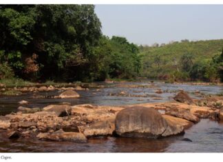 Nord Cogon : le rapport des ONG sur l’impact de l’exploitation de la bauxite sur les communautés