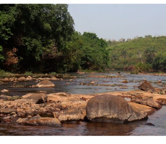 Nord Cogon : le rapport des ONG sur l’impact de l’exploitation de la bauxite sur les communautés