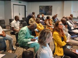 Rapport d’Actions Mines Guinée et de l’IPIS : la pêche et l’élevage sévèrement impactés par l’exploitation de la bauxite à Boké