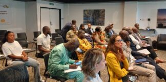 Rapport d’Actions Mines Guinée et de l’IPIS : la pêche et l’élevage sévèrement impactés par l’exploitation de la bauxite à Boké
