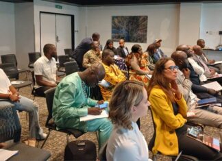 Rapport d’Actions Mines Guinée et de l’IPIS : la pêche et l’élevage sévèrement impactés par l’exploitation de la bauxite à Boké
