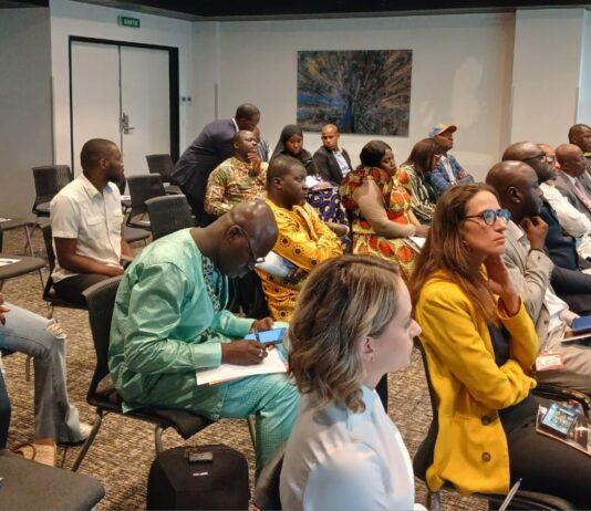 Rapport d’Actions Mines Guinée et de l’IPIS : la pêche et l’élevage sévèrement impactés par l’exploitation de la bauxite à Boké