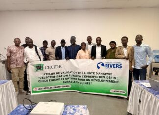 Électrification rurale en Guinée : le CECIDE passe au crible les politiques énergétiques et formule des pistes pour un accès durable à l’électricité